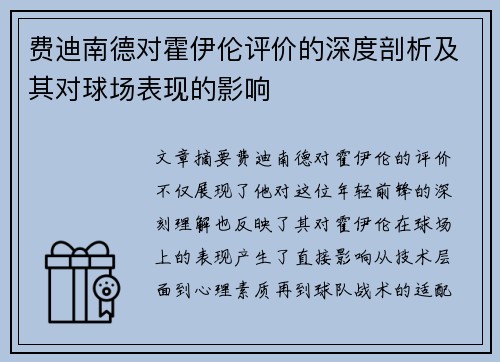 费迪南德对霍伊伦评价的深度剖析及其对球场表现的影响