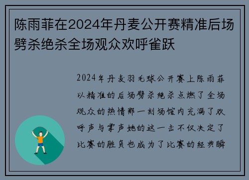 陈雨菲在2024年丹麦公开赛精准后场劈杀绝杀全场观众欢呼雀跃