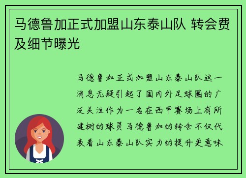 马德鲁加正式加盟山东泰山队 转会费及细节曝光