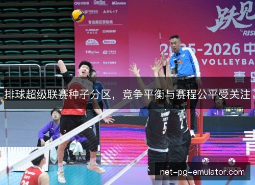 排球超级联赛种子分区，竞争平衡与赛程公平受关注